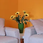 Il Girasole Bed & Breakfast Rogliano