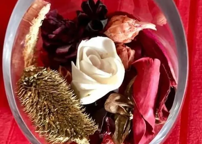 住宿加早餐酒店 Il Girasole