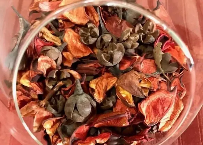 住宿加早餐酒店 Il Girasole Rogliano