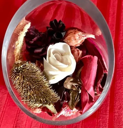 Il Girasole 3* Rogliano