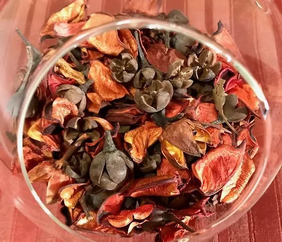 Il Girasole 住宿加早餐酒店